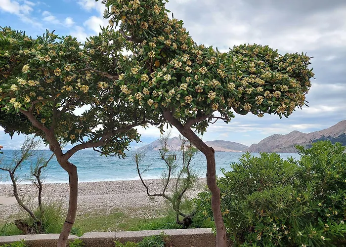 Nur 250 Meter Bis Zur Kristallklaren Adria * Baška